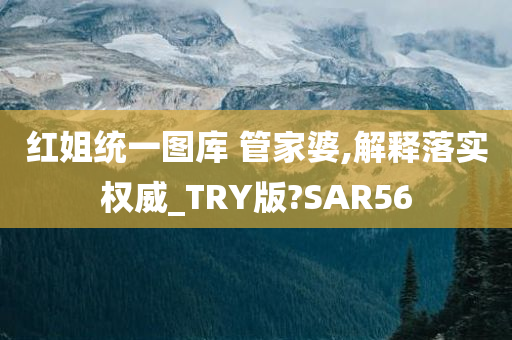 红姐统一图库 管家婆,解释落实权威_TRY版?SAR56