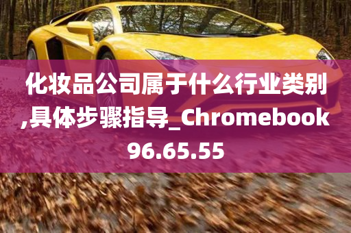 化妆品公司属于什么行业类别,具体步骤指导_Chromebook96.65.55