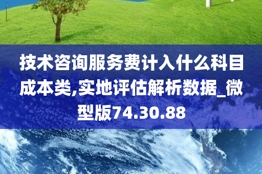 技术咨询服务费计入什么科目成本类,实地评估解析数据_微型版74.30.88