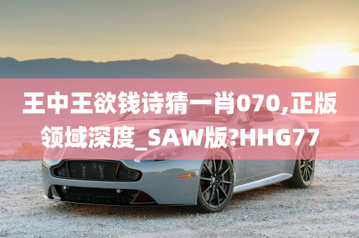 王中王欲钱诗猜一肖070,正版领域深度_SAW版?HHG77