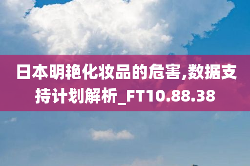 日本明艳化妆品的危害,数据支持计划解析_FT10.88.38