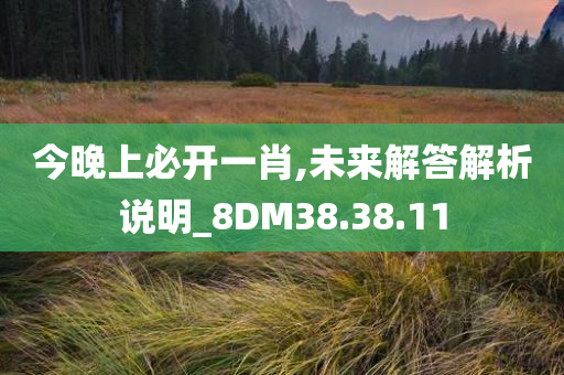 今晚上必开一肖,未来解答解析说明_8DM38.38.11