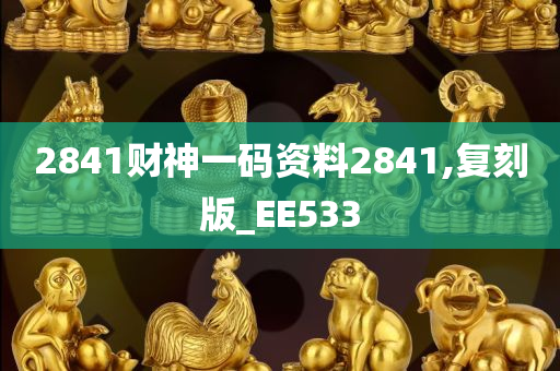 2841财神一码资料2841,复刻版_EE533