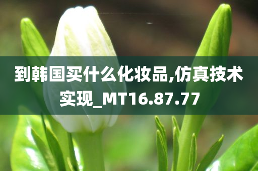 到韩国买什么化妆品,仿真技术实现_MT16.87.77