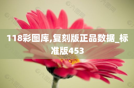 118彩图库,复刻版正品数据_标准版453