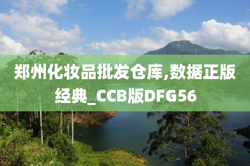 郑州化妆品批发仓库,数据正版经典_CCB版DFG56