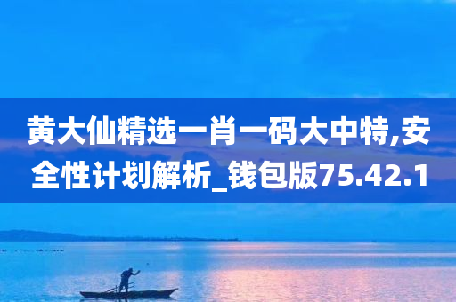 黄大仙精选一肖一码大中特,安全性计划解析_钱包版75.42.10