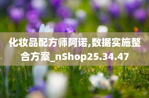 化妆品配方师阿诺,数据实施整合方案_nShop25.34.47