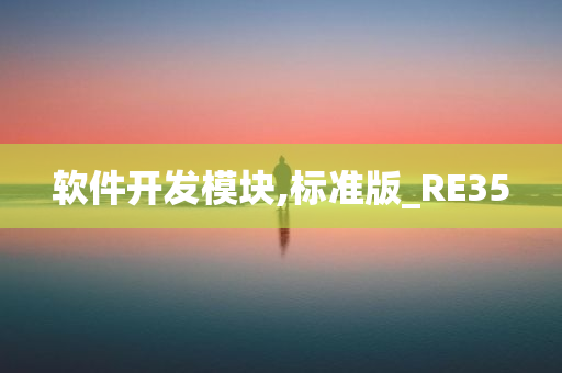 软件开发模块,标准版_RE35