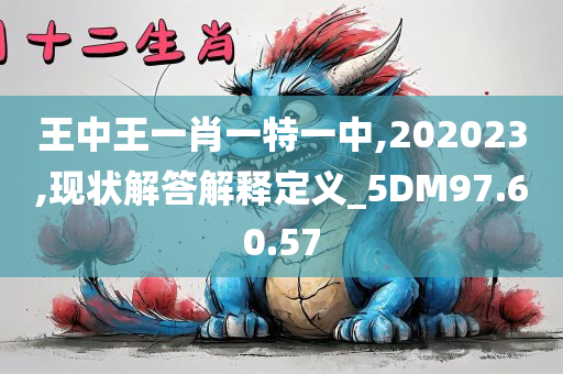 王中王一肖一特一中,202023,现状解答解释定义_5DM97.60.57