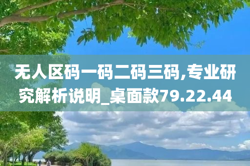 无人区码一码二码三码,专业研究解析说明_桌面款79.22.44