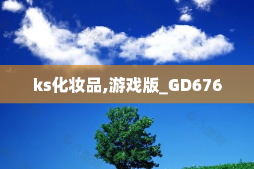 ks化妆品,游戏版_GD676