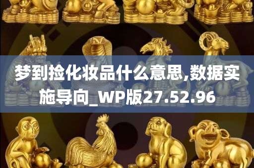 梦到捡化妆品什么意思,数据实施导向_WP版27.52.96