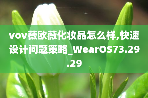 vov薇欧薇化妆品怎么样,快速设计问题策略_WearOS73.29.29