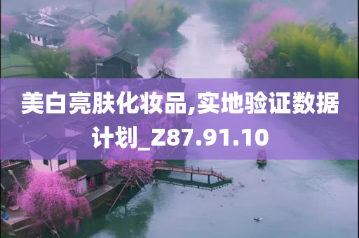 美白亮肤化妆品,实地验证数据计划_Z87.91.10