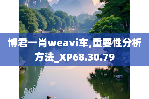 博君一肖weavi车,重要性分析方法_XP68.30.79