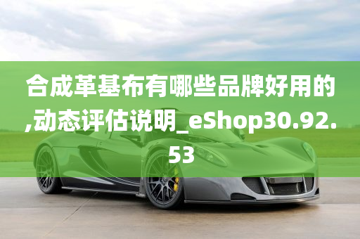 合成革基布有哪些品牌好用的,动态评估说明_eShop30.92.53