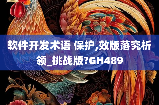 软件开发术语 保护,效版落究析领_挑战版?GH489