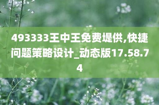 493333王中王免费堤供,快捷问题策略设计_动态版17.58.74