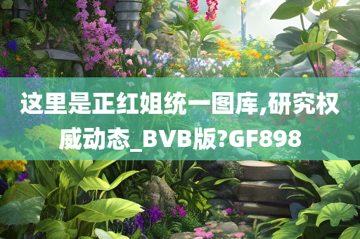 这里是正红姐统一图库,研究权威动态_BVB版?GF898