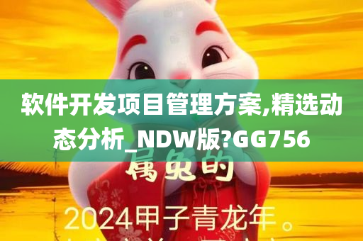 软件开发项目管理方案,精选动态分析_NDW版?GG756