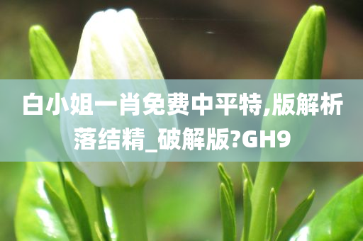 白小姐一肖免费中平特,版解析落结精_破解版?GH9