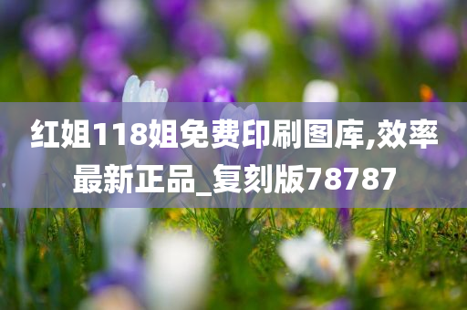 红姐118姐免费印刷图库,效率最新正品_复刻版78787