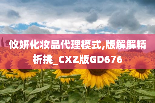 攸妍化妆品代理模式,版解解精析挑_CXZ版GD676