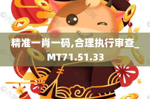 精准一肖一码,合理执行审查_MT71.51.33