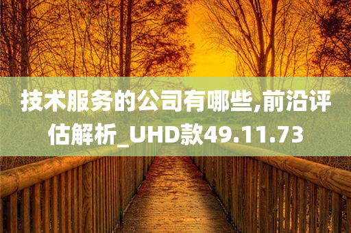 技术服务的公司有哪些,前沿评估解析_UHD款49.11.73