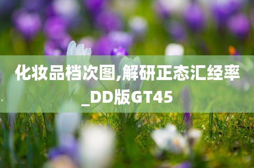 化妆品档次图,解研正态汇经率_DD版GT45