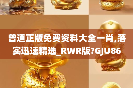 曾道正版免费资料大全一肖,落实迅速精选_RWR版?GJU86