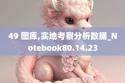 49 图库,实地考察分析数据_Notebook80.14.23