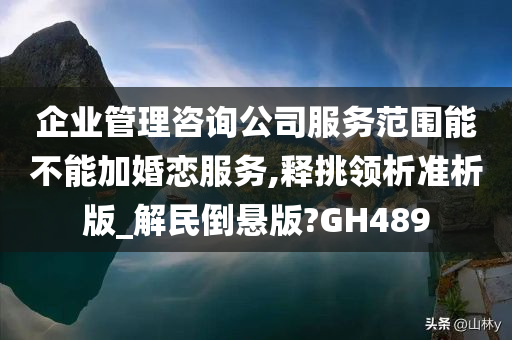 企业管理咨询公司服务范围能不能加婚恋服务,释挑领析准析版_解民倒悬版?GH489