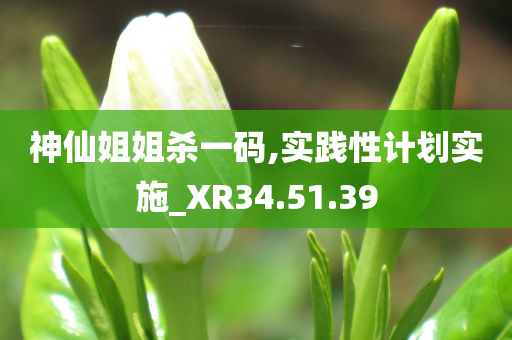 神仙姐姐杀一码,实践性计划实施_XR34.51.39