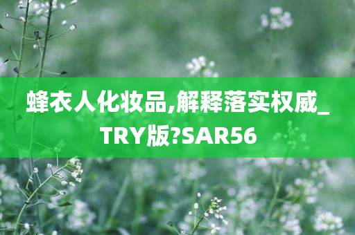 蜂衣人化妆品,解释落实权威_TRY版?SAR56