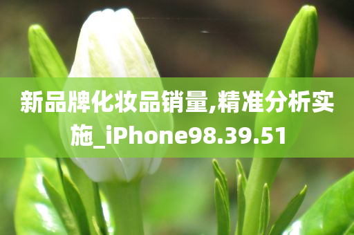 新品牌化妆品销量,精准分析实施_iPhone98.39.51