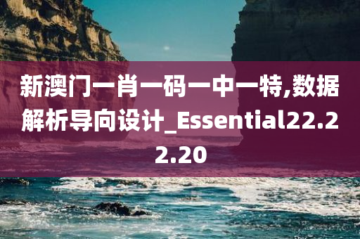 新澳门一肖一码一中一特,数据解析导向设计_Essential22.22.20