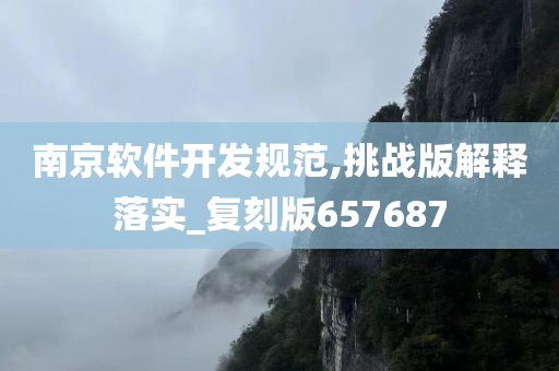 南京软件开发规范,挑战版解释落实_复刻版657687