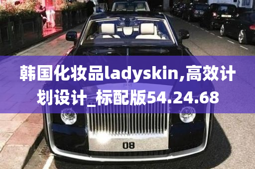 韩国化妆品ladyskin,高效计划设计_标配版54.24.68