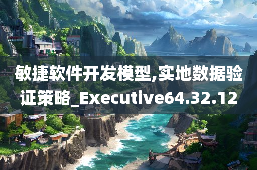 敏捷软件开发模型,实地数据验证策略_Executive64.32.12