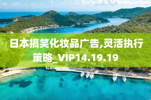 日本搞笑化妆品广告,灵活执行策略_VIP14.19.19