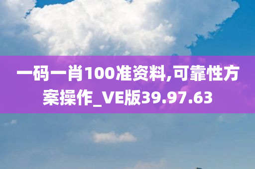 一码一肖100准资料,可靠性方案操作_VE版39.97.63