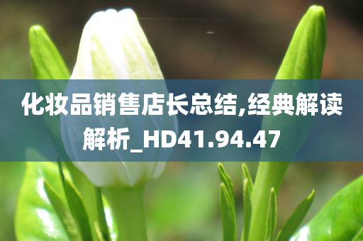 化妆品销售店长总结,经典解读解析_HD41.94.47