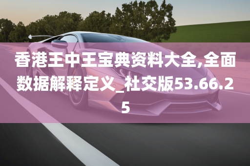 香港王中王宝典资料大全,全面数据解释定义_社交版53.66.25