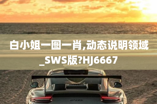 白小姐一图一肖,动态说明领域_SWS版?HJ6667