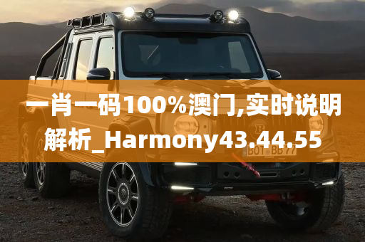 一肖一码100%澳门,实时说明解析_Harmony43.44.55