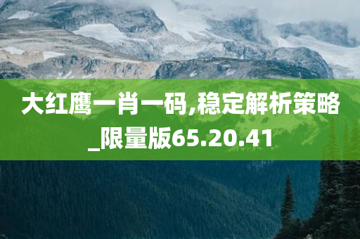 大红鹰一肖一码,稳定解析策略_限量版65.20.41