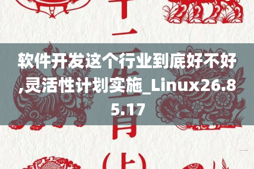 软件开发这个行业到底好不好,灵活性计划实施_Linux26.85.17