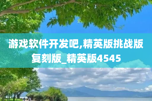 游戏软件开发吧,精英版挑战版复刻版_精英版4545